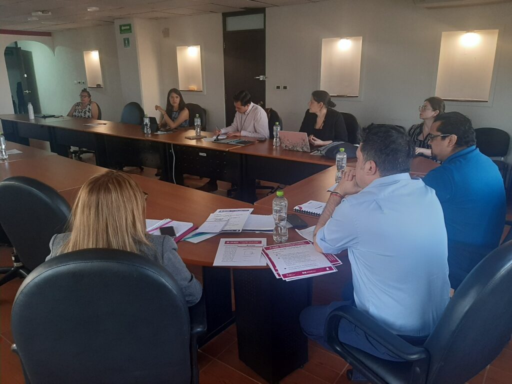 Reunión con la Dirección Ejecutiva de Organización Electoral